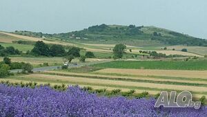image_21