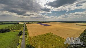 image_19