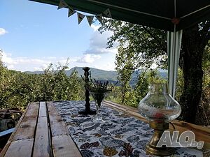 image_11