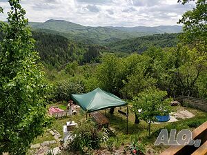 image_13