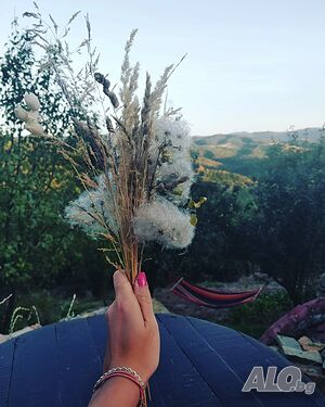 image_16
