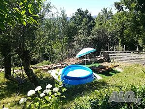 image_24