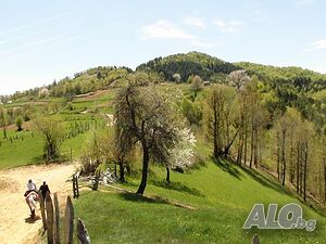 image_10