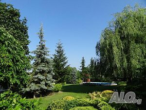 image_12