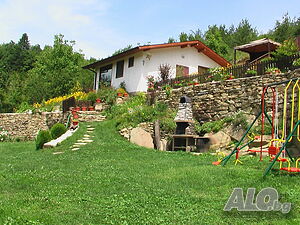 image_23