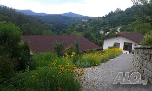 image_22
