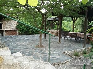 image_5