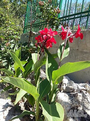 image_20