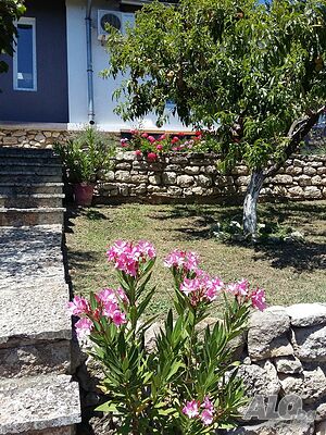 image_22