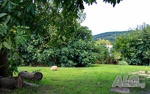 image_33