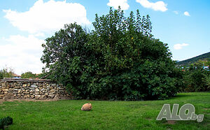 image_34