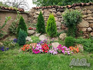 image_37