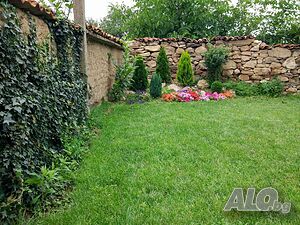 image_39