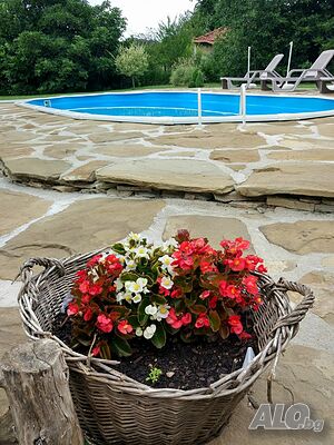image_40