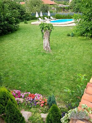 image_41