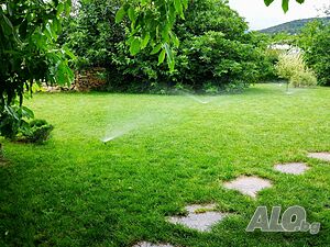 image_42