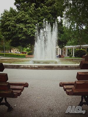 image_25