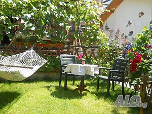 image_28