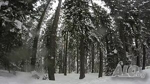 image_25