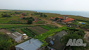image_5