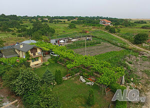 image_10