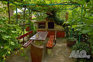 image_11