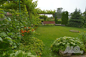 image_12