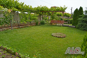 image_13