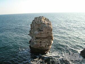 image_46