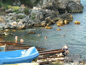 image_47