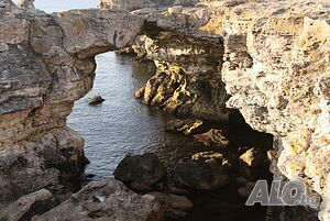 image_48
