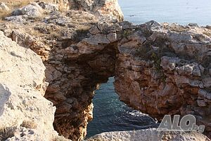 image_50