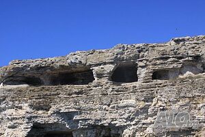 image_55