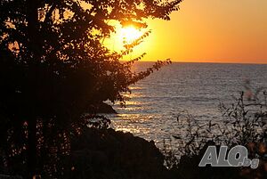 image_56