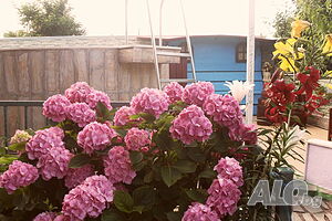 image_32