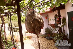 image_34