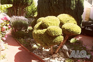 image_36