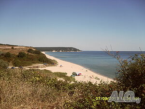 image_50