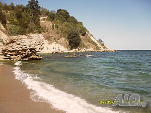 image_52
