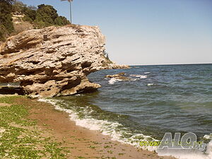 image_53
