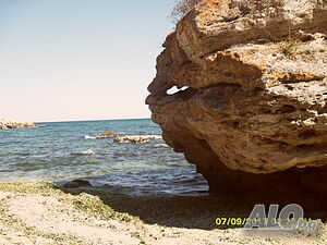 image_54
