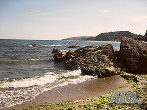 image_55