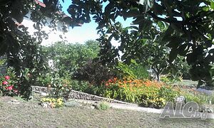 image_22