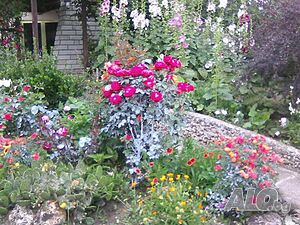 image_35