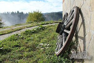 image_12