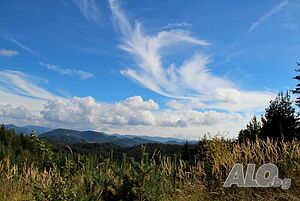 image_21