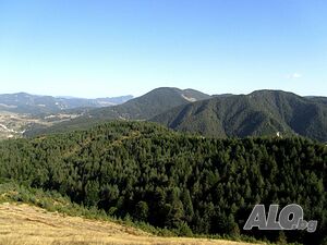 image_27