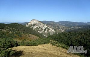 image_28