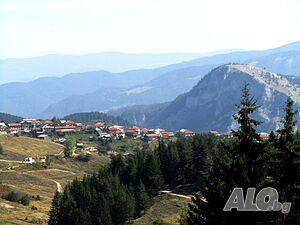 image_31