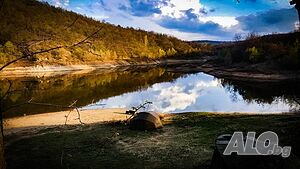image_19